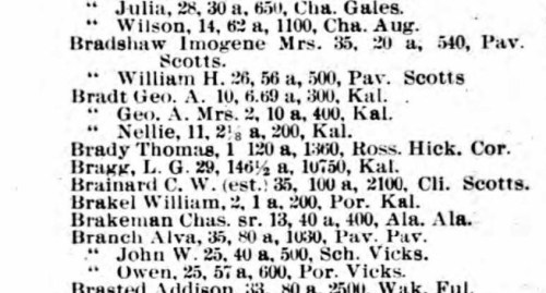 Nellie Bradt 1899 city directory